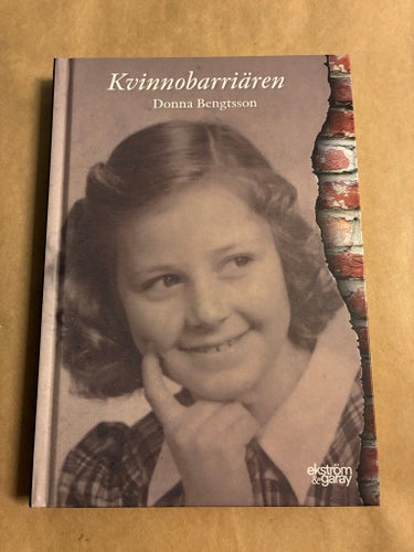 Kvinnobarriären av Donna Bengtsson