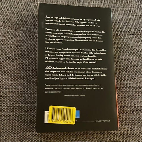 Det brinnande havet av Erik Eriksson