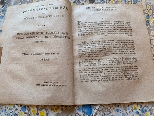 GÄSTRIKLAND HUDIKSVALL AVHANDLING OM HUDIKSVALLS TRIVIALSKOLA, 1807