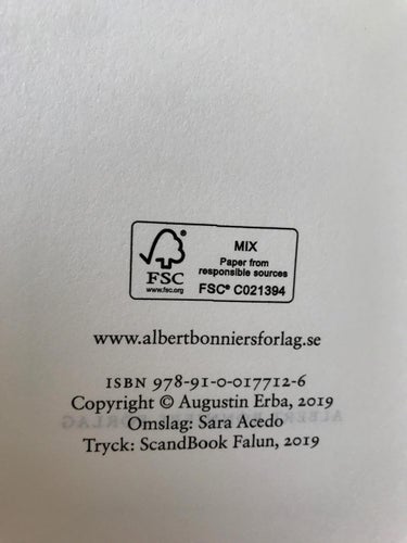 SNÖSTORM Augustin Erba 2019