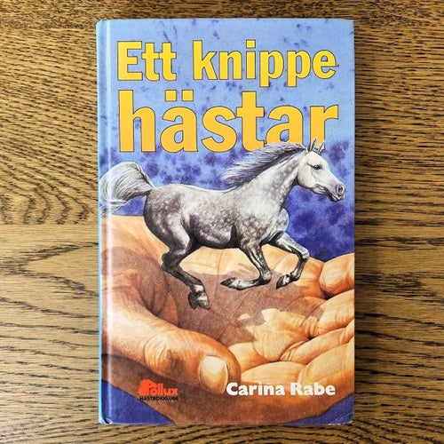 Ett knippe hästar - Carina Rabe