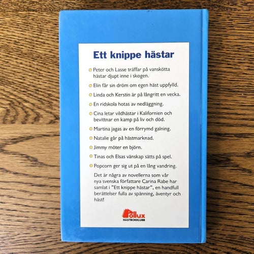 Ett knippe hästar - Carina Rabe