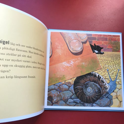SNIGELFART Dave och Julie Saunders 2001
