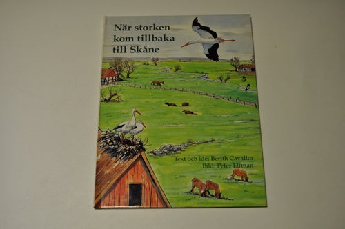 NÄR STORKEN KOM TILLBAKA TILL SKÅNE - Berith Cavallin