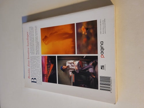 Kreativ Fotografering Exponering av Bryan Peterson, 2008