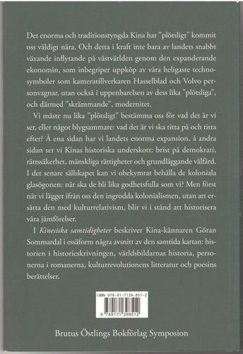 Kinesiska samtidigheter: sju kapitel om den skrivna erfarenheten