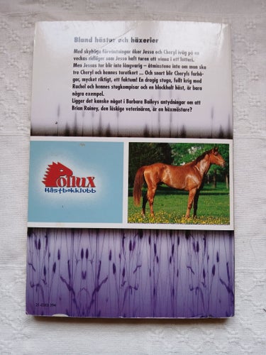 Stallgänget - Bland hästar och häxerier