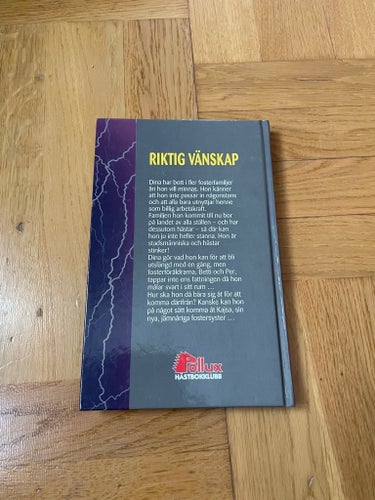 Riktig Vänskap av Carol O'Day, häst, Pollux