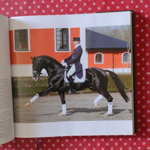 Hingstboken Hingstar i svensk varmblodsavel 2009