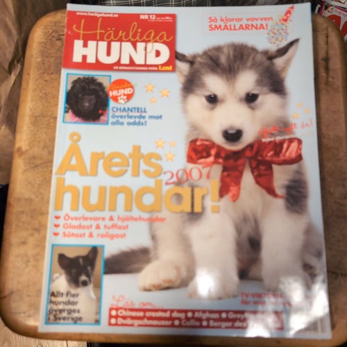 Härliga Hund - Årets Hundar 2007