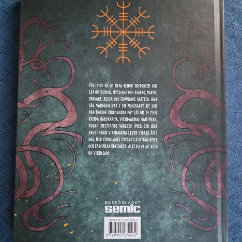 VIKINGAR DEN STORA BOKEN av Peter Bergting, 2020
