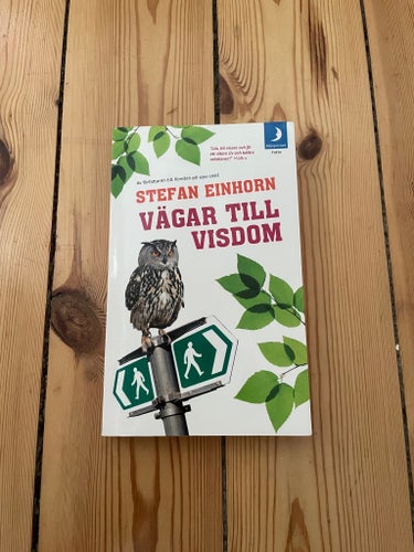 Vägar till visdom av Stefan Einhorn, 2007
