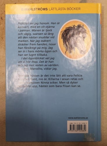 Flisans osynliga häst av Pia Hagmar