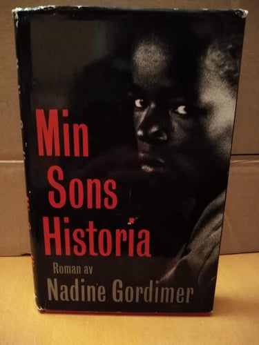 Min sons Historia av Nadine Gordimer