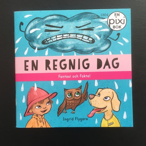 Pixi bok 1804 - EN REGNIG DAG