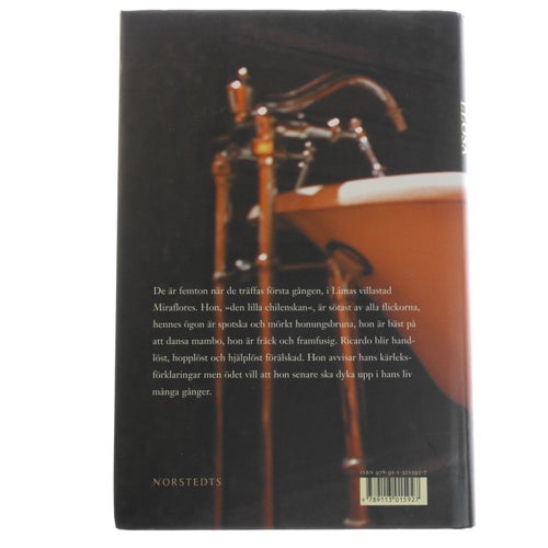 Mario Vargas Llosa - Den stygga flickans rackartyg