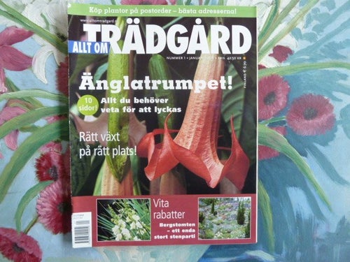 TRÄDGÅRD, NR 1, 2006,