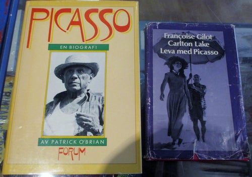Två biografier om Pablo Picasso, Konst
