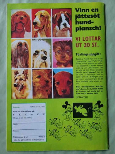 Walt Disneys serier nr 10 från 1975 - I Björnligans spår...