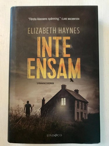 INTE ENSAM Elizabeth Haynes 2017