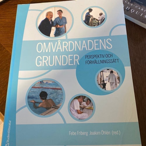 Omvårdnadens grunder: perspektiv och förhållningssätt, Febe Friberg, Joakim