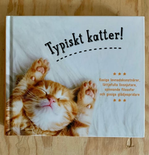 TYPISKT KATTER - MYCKET FINT SKICK - HUNDRATALS FÄRGFOTON