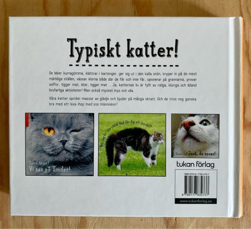 TYPISKT KATTER - MYCKET FINT SKICK - HUNDRATALS FÄRGFOTON