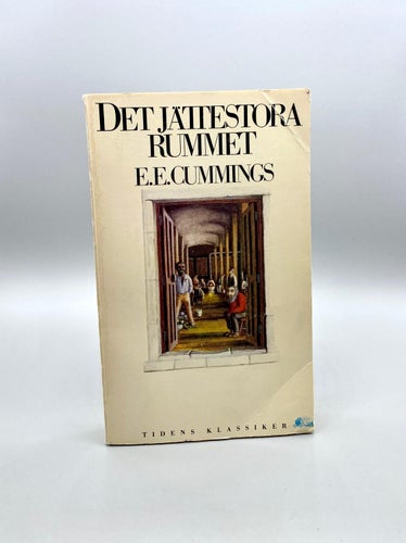 Det jättestora rummet av E. E. Cummings (Roman)