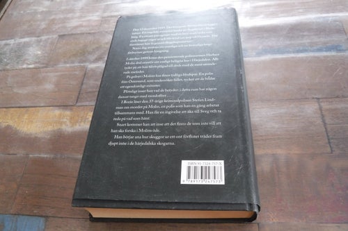 Danslärarens återkomst, författare Henning Mankell