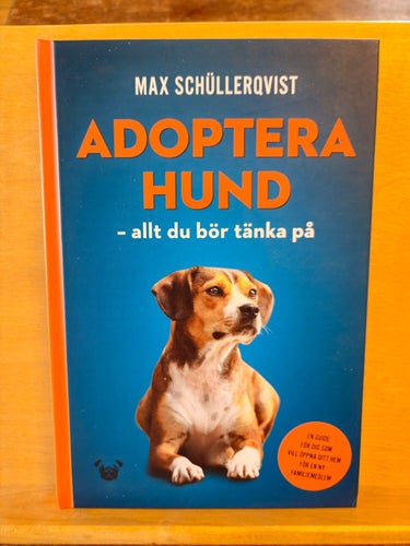 Adoptera hund - allt du bör tänka på, Max Schüllerqvist