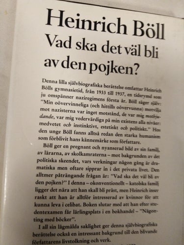 Vad ska det väl bli av den pojken av Heinrich Böll, bok Very Fine