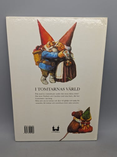 I tomtarnas värld av Wil Huygen