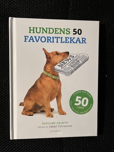 Hundens 50 favoritlekar. / Suellen Dainty