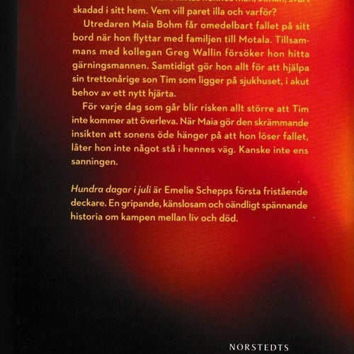 Hundra dagar i juli av Emelie Schepp (inbunden, hård pärm)