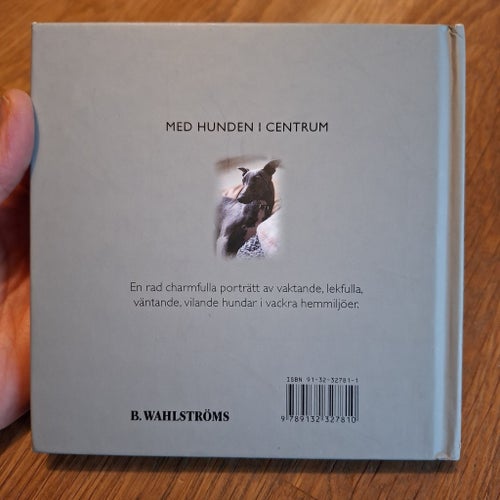 Hemmahundar av Kirsty Seymour-Ure, 2003