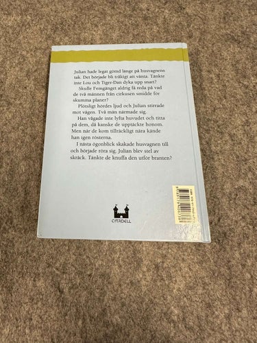Enid Blyton - Fem på tjuvjakt