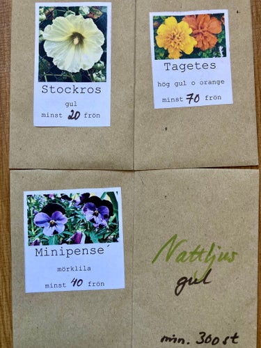 Fröer parti tagetes stockros penseer
