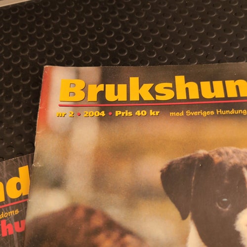 Brukhunden nr 2 2004 och nr 3 2006
