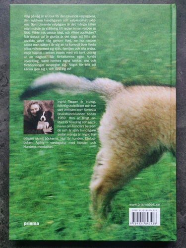 Valp på väg : den unga hundens utveckling och beteende Bok Hund