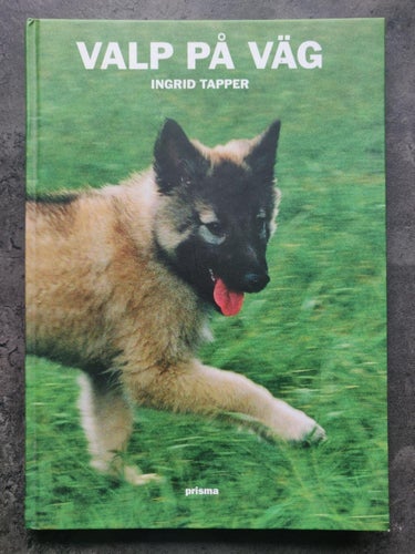 Valp på väg : den unga hundens utveckling och beteende Bok Hund