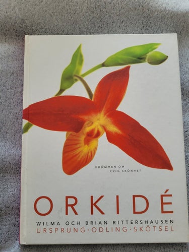 Orkidé: Wilma och Brian Rittershausen