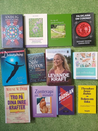 ANDLIG UTVECKLING -Att vara sitt Högre Jag av Sanaya Roman