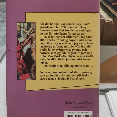 Duktig Pojke! av Inger Edelfeldt, 1991