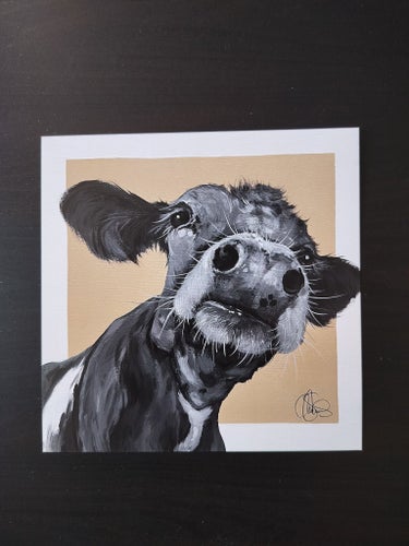 Stort konstkort (21x21) Ko av Matilda Skoglund (gul)