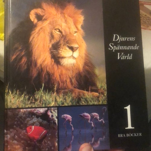 Djurens Spännande Värld 1