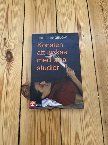 Konsten att lyckas med sina studier av Bosse Angelöw, 2004