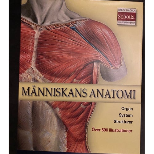 Människans anatomi av Ing-Marie Höök Skärhamn