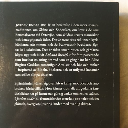 Jorden under oss av Alice Birgitta Godske