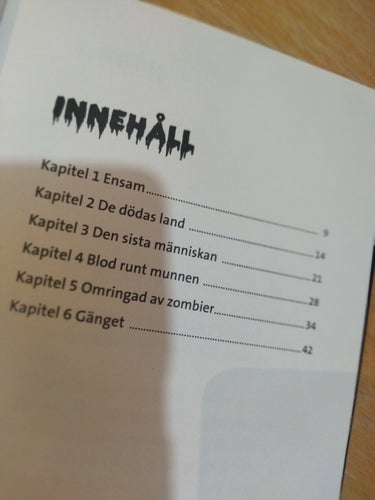 Zombie City av Benni Bødker. Bok. Fine, BM