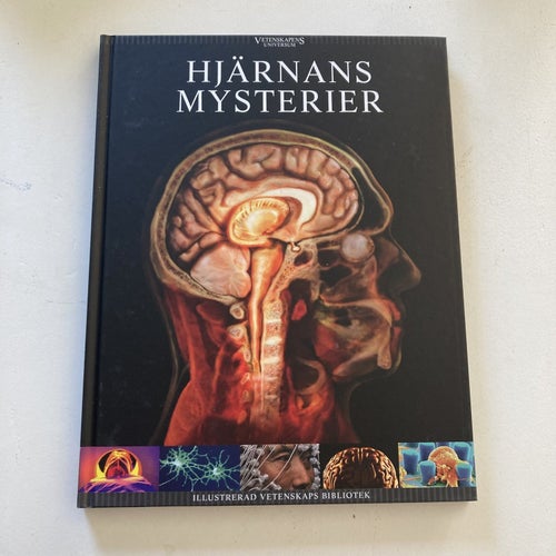 ILLUSTRERAD VETENSKAP. HJÄRNANS MYSTERIER.